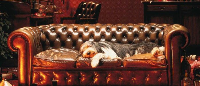 Tapizado Artístico: Diseños Creativos y Elegantes para Muebles de Alta Calidad