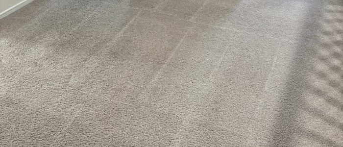 Als Affordable Carpet – Alfombra Económica y Duradera para tu Hogar