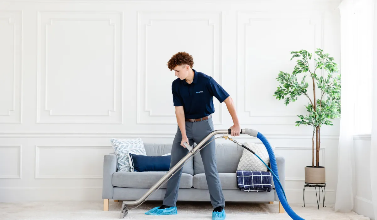 Zerorez: Limpieza profunda de alfombras y tapicería sin químicos – Servicio profesional y ecológico